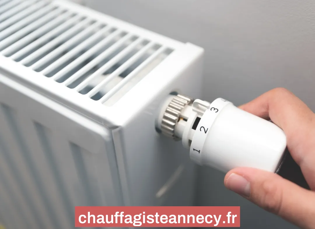 Remplacement de Thermostat Annecy
